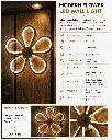 19.webp