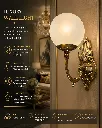 31a.webp