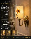 35a.webp