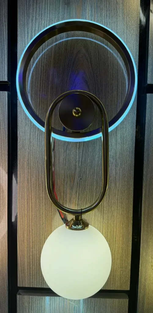 Modern LED Globe Wall Light